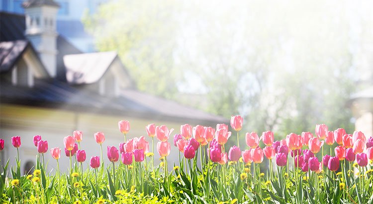 Spring Is in The Air For Housing