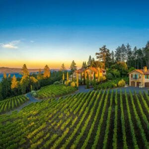 Wine Country Real Estate Trends for January 2022