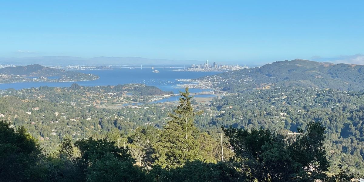 What Happened in the North Bay Real Estate Market in June 2022?
