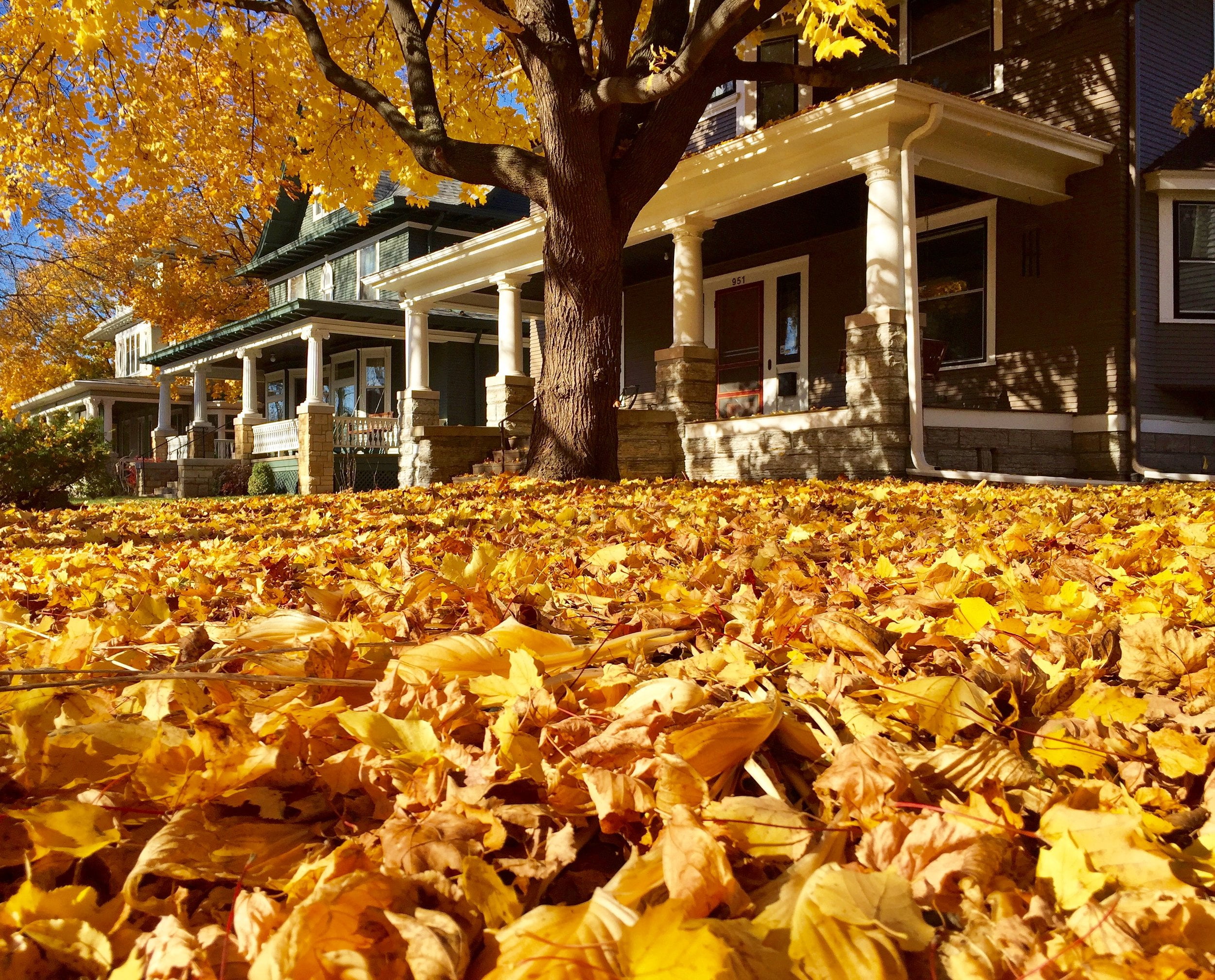 Fallhousingmarket With Autumn Here, What Can We Expect The Real Estate Market To Do?